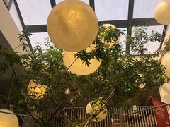 -馋嘴猫北京食堂·烤鸭·宵夜(亚运村店)