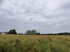 -蜀绣公园