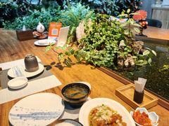 -森味薪火烧•烧鸟居酒屋•日本料理(望京店)