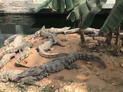 -石家庄市动物园