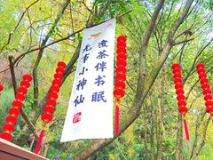 -青城山