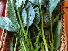 -老员外骨汤火锅(海州古城店)