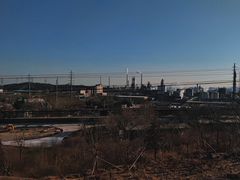 -白水寺森林公园