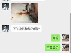 -宠福鑫动物医院(立水桥分院)