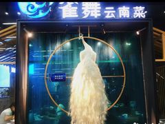 -雀舞云南菜(乐客城店)
