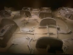 -洛阳周王城天子驾六博物馆