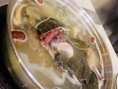 甲鱼-佳养记百味鸡煲海曙孝闻街店