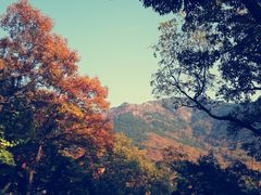 -青岛崂山太清宫