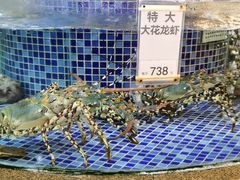 -太子园林酒家