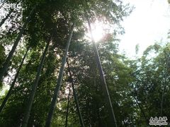 -藏龙百瀑风景区