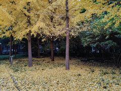 -中国政法大学(昌平校区)
