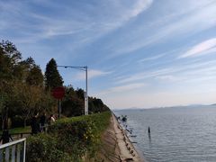-贡湖湾湿地公园