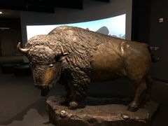 -布洛克德克萨斯国家历史博物馆