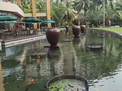 -三亚湾海居铂尔曼度假酒店