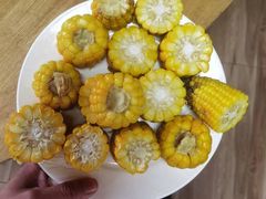 -梨木台悦来客农家院