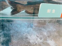 -鱼酷活鱼烤鱼(南京水游城店)