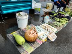 -蒲河大集
