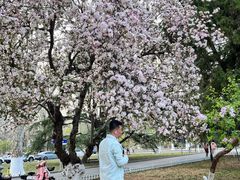 -山东师范大学(千佛山校区)