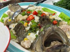 -绿雅居原生态农庄(小涌店)