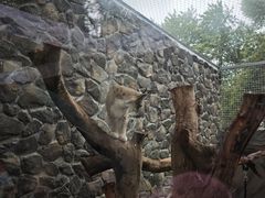-青藏高原野生动物园