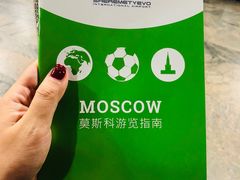-谢列梅捷沃国际机场