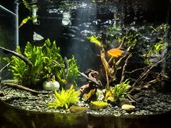 -太平洋海底世界