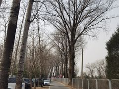 -辛庄国际文化艺术区