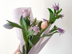 -知物癖(牛王庙店)