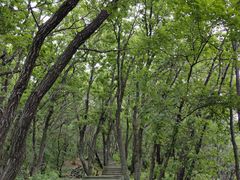 -帽儿山国家森林公园