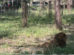 -秦皇岛野生动物园