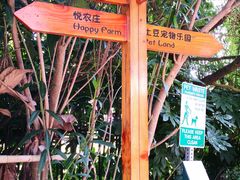 -上海崇明金茂凯悦酒店