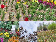 -郑州中国绿化博览园