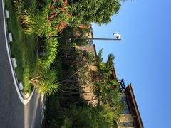 君澜热带雨林温泉酒店-七仙岭君澜度假酒店