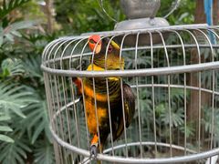 -南宫五洲植物乐园