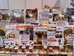 -香港会议展览中心演讲厅