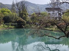 -树山生态村