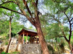 -井塘古村