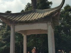 -岣嵝峰国家森林公园