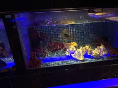 -荣轩(新荣记环球金融中心店)