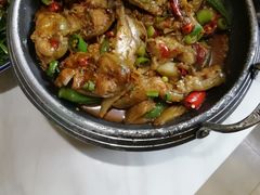 -鑫农家大院(余家头店)