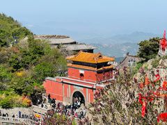 -泰山风景名胜区