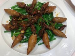 -锦粤宫·精致粤菜(深圳北站店)