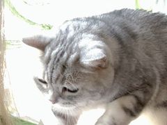 -平行世界·猫咖(首经贸店)