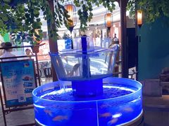 -佬麻雀·剁椒鱼头(京基KK One店)