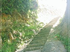 -水墨汀溪风景区