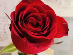 -太平洋影城(深圳8号仓店)