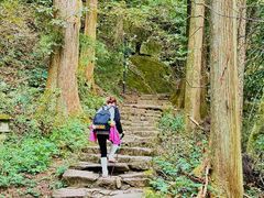 -天目山大树王景区