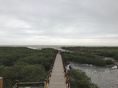 -北海金海湾红树林生态旅游区