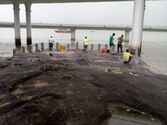 -演武大桥观景平台