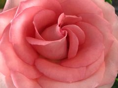 -拾挚扒房(招商花园城店)